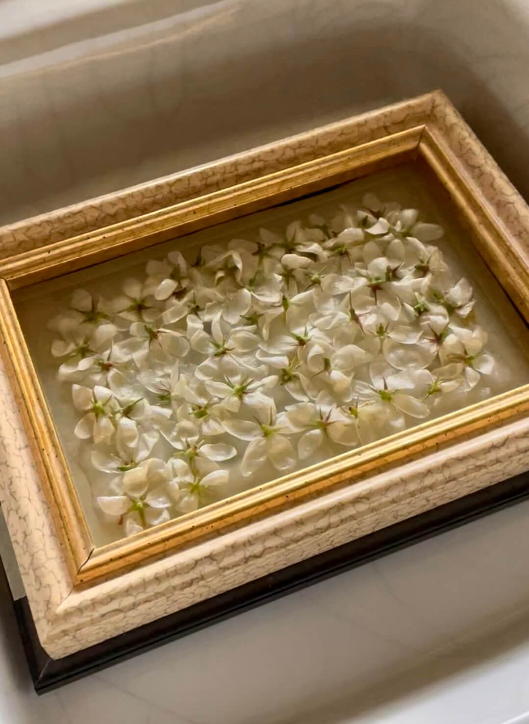 A golden frame containing white flowers in a white solid material.